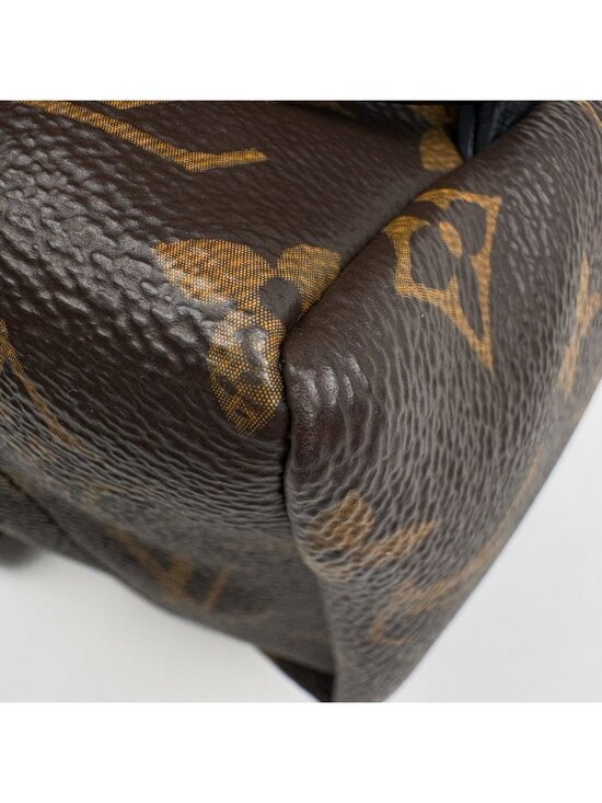Louis Vuitton Palm Springs Backpack MM Monogram Brown main image 5
